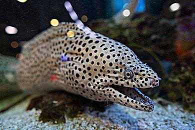 Epic游戏商城开启冬末特卖 大作优惠3月16日截止