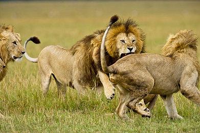 《绝地潜兵2》成索尼在美发行销售额排第七的游戏